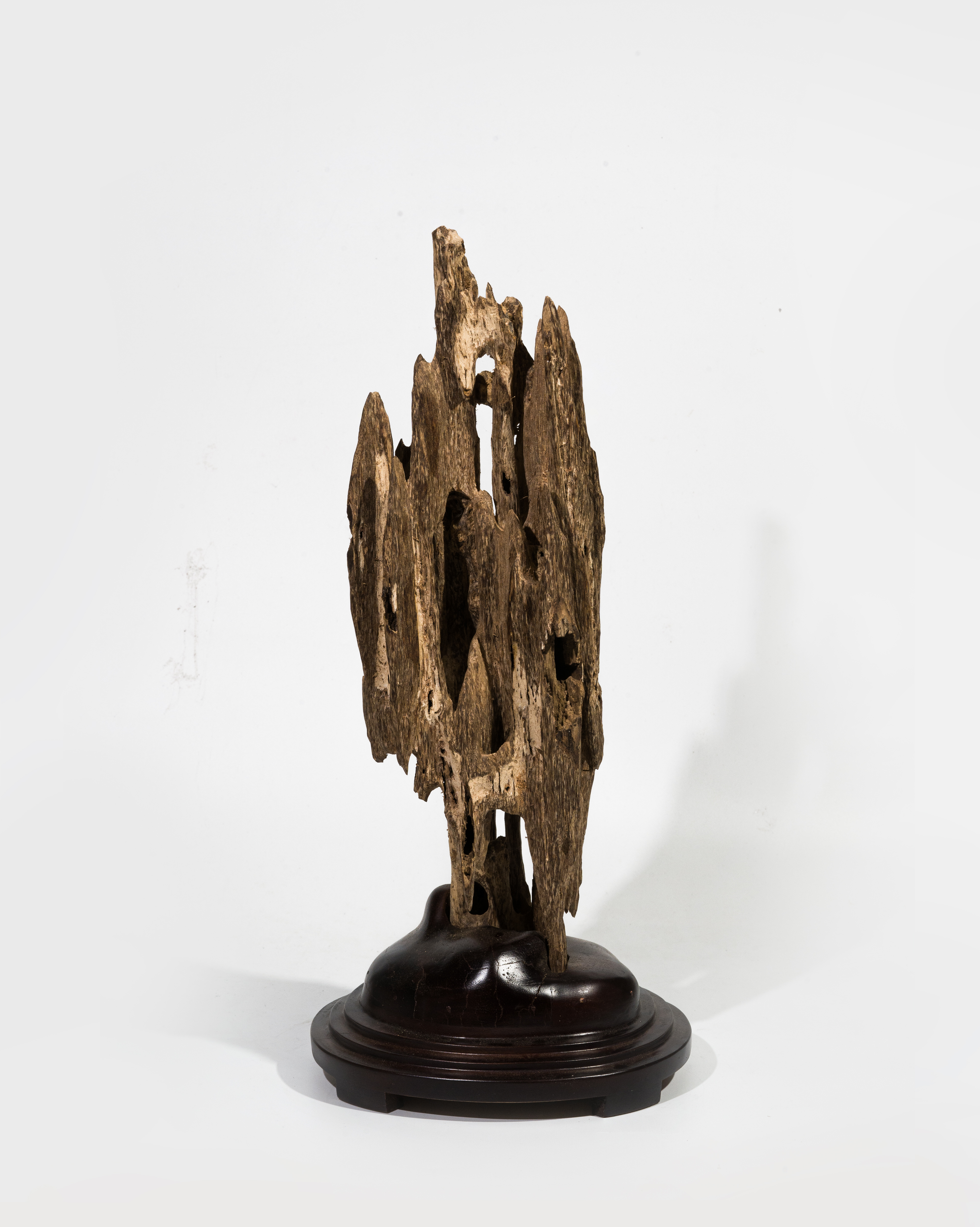 Mini Natural Agarwood Sculpture – Desk Display Oud – Wild Unique Form 42cm
